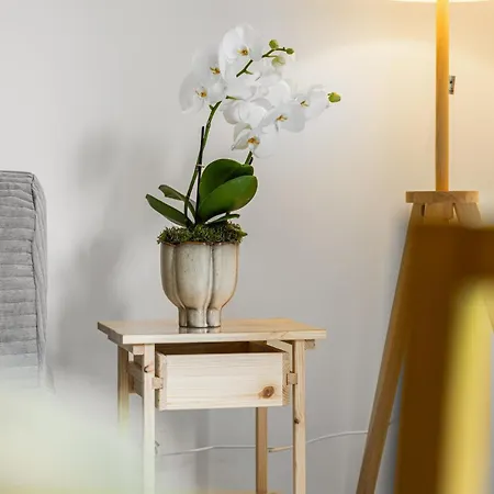 Cosy Juan-les-pins Front Cocoon For 3 Appartement Antibes